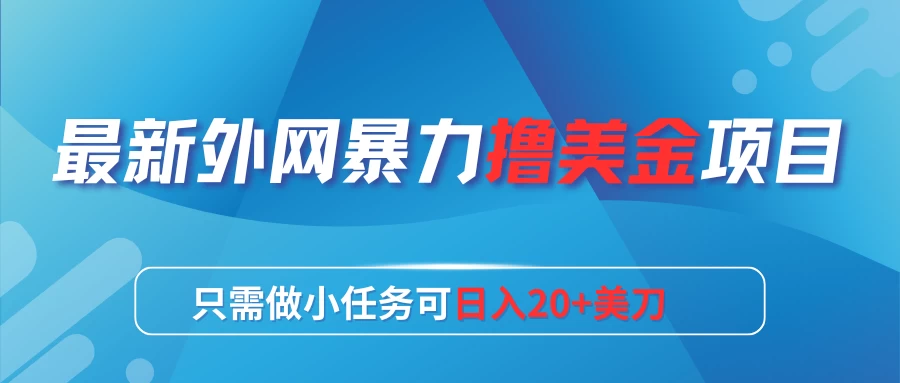 日入20+美刀，最新外网暴力撸美金项目 第1张