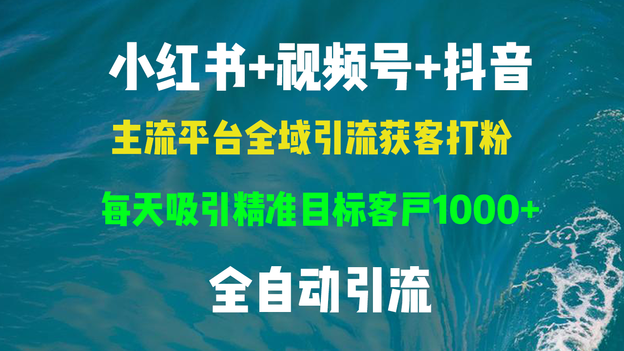 小红书，视频号，抖音主流平台全域引流获客打粉，每天吸引精准目标客户1000+，从底层认知到矩阵获客